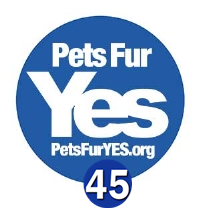 PetsFurYES's profile picture. A place where your pets can show their support for an Independent Scotland.