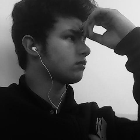 Sarto_Joao's profile picture. Com 15 anos de idade. Fala 3 línguas fluentemente. Estuda Ciências da Eletrônica Aplicada. Gosta de filmes e livros, em particular Harry Potter.