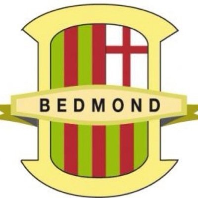 BedmondY Profile Picture