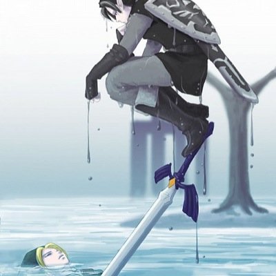 The Hero of shadows and shadow of the hero link.