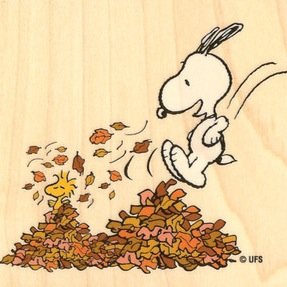 Skittler14's profile picture. 