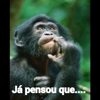 Esse perfil foi feito para você parar e pensar