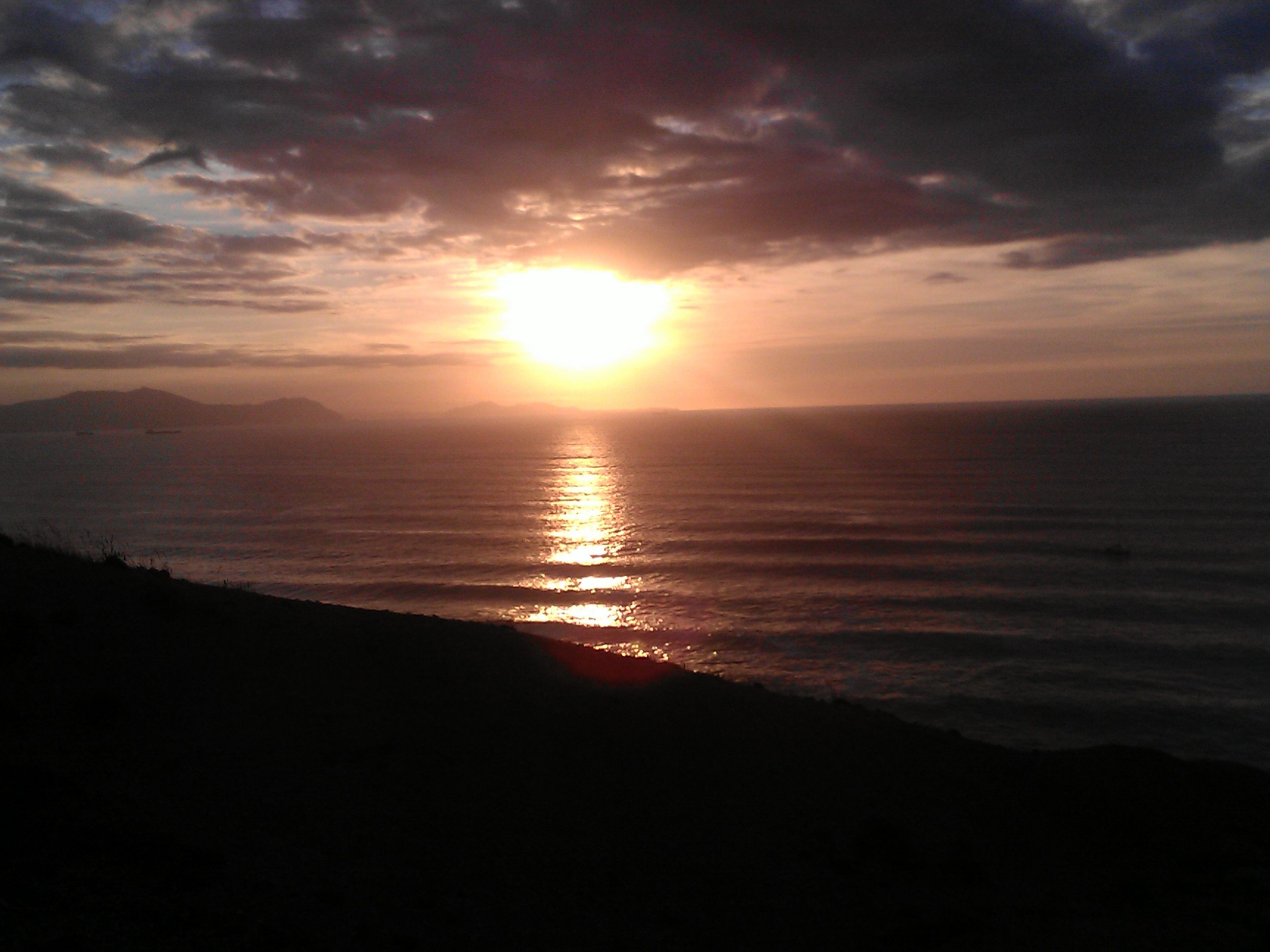 marta2codina's profile picture. 