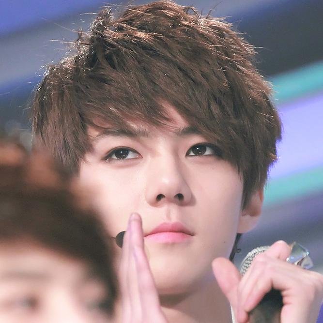 EXO Main - Sehun - T-ara BTS GOT7 BEAST MBLAQ 2NE1 INFINITE CNBLUE SS501 TVXQ FTISLAND SJ B.A.P B1A4 BTOB TEEN TOP etc.