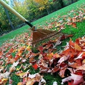 *rake rake rake*