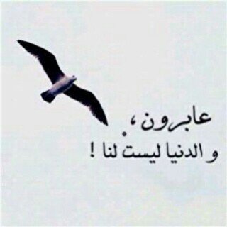 يآرب كُن معَي . .