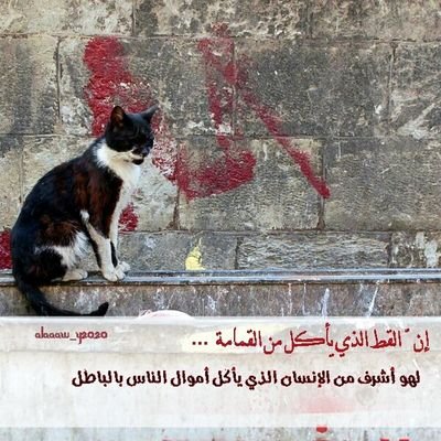 ‏بلاد العرب اوطاني...وكل العرب اخواني