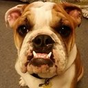 David Thoe - @thoewhat - Twitter