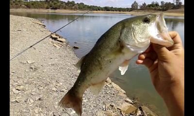 pesca_mar_rio's profile picture. pesca deportiva estilo de vida