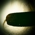 Fedora_Mask (@coda_jsun) Twitter profile photo Fedora_Mask (@coda_jsun) Twitter profile photo