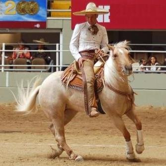 Ranchero desde la cuna, Ing. de profesión, hombre de palabra, soltero mientras llega mi hembra.