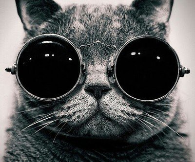 UnseenGhost408's profile picture. Youtube addicted, And I live in the uk :3 I'm just a regular teenager with internet access :)