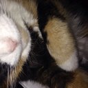 Michelle Berwick - @BerwickBlueyes - Twitter