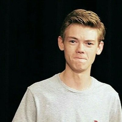 my little newt