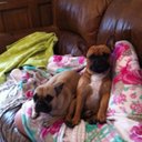 Shari Ross - @ross_shari - Twitter