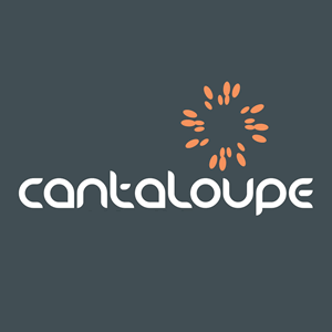 #emailgeeks #EmailMarketing #wordpress #digitalmarketing #CantaloupeDigital