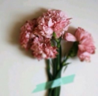 قنـوعـهً بمـا ٲملک رٲضيـه بَ القدر مؤمنـه بسعادتي ♡