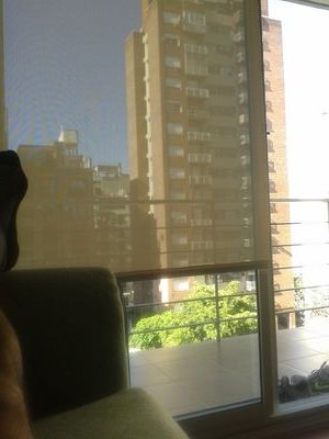 arielpenno's profile picture. 