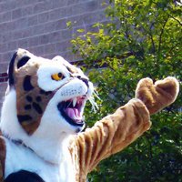 Calypso PTC (@calypsoptc) 's Twitter Profile