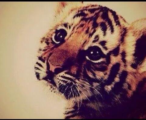 M_Vladka's profile picture. #Slovakia the most beautiful country I love