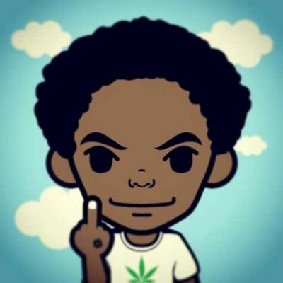 follow back everyone