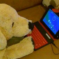 katiemac (@katiemac22501) 's Twitter Profile