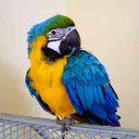 Trevor Stark - @TrevorStark5 - Twitter