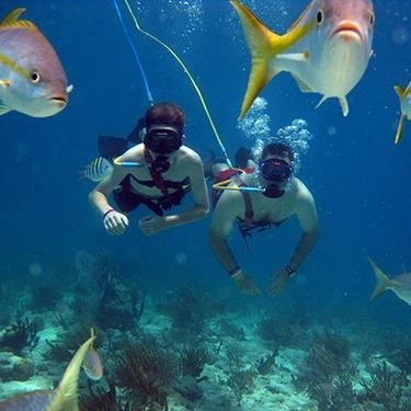 Explore the tropical reefs of Trunk Bay, St. John or Coki Beach, St. Thomas with SNUBA! Safe and easy guided underwater tours. No experience needed.