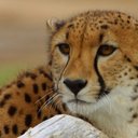 Logan McLean - @mcleanlogan1 - Twitter