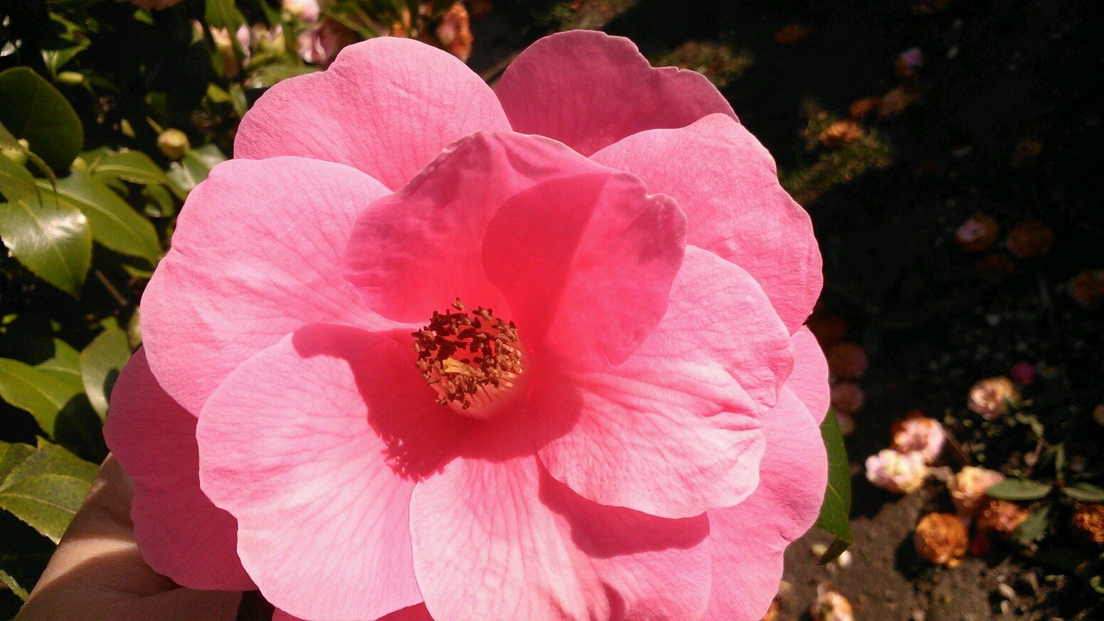 magic_wild's profile picture. 