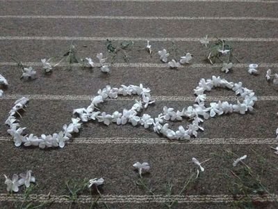 ‏‏‏‏ح م ص