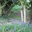 Rural_Tweets's profile image
