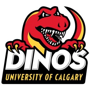 Official twitter of the University of Calgary Dinos Ringette Team. Follow us on Facebook and Instagram : ucdinosringette