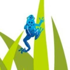 BlueDartTOtw's profile picture. Full service design  communications company.
Our aim is simple...to   build our clients business through strategically focused  solutions.