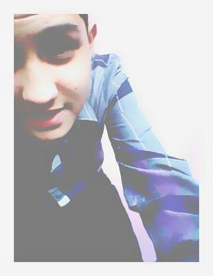 directioner
little mix 
lovati
believer 
little swift 
little monster