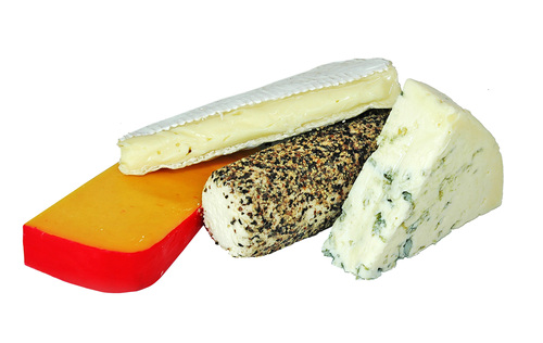 The Hudson Valley Cheese Festival, a one-day food showcase and fundraiser for artisanal food producers and culinary talent in today’s renewed Hudson Valley