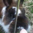 mackenzie bennett - @kenzie_fudge - Twitter