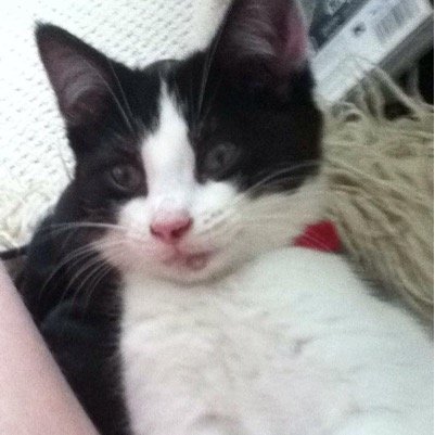 sporter28isboss's profile picture. mad ting is wut i do