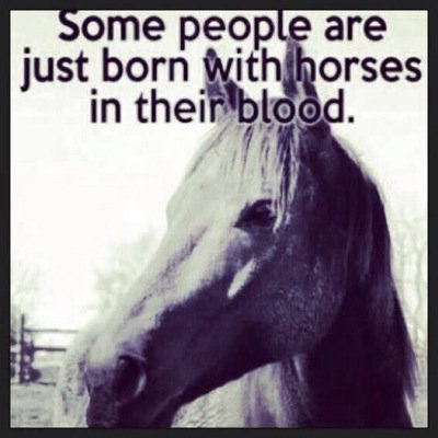 Just a chik a football team and a horse.         Hca forever 9th grade.    Jesus loves you.   Football and horses for life!!!!!