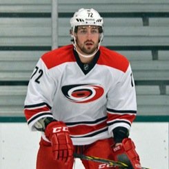 professional hockey player