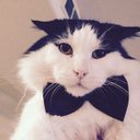 Gustavo Olivas - @gustavobullet68 - Twitter