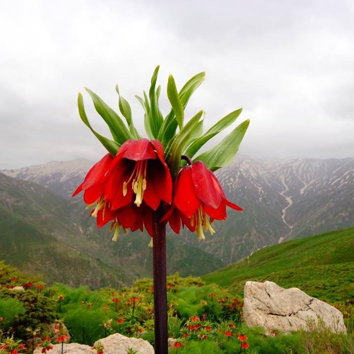 Kawaxkey's profile picture. 