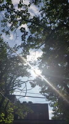 shiablum's profile picture. my fave color is Teal. I live a day at a time and sometimes a drink at a time.  my soul has way to much Love for 1 body.