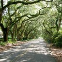 Deborah Skipper - @deborahskipper - Twitter