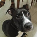 Nicolas Manuel Brea - @breaoliveri - Twitter