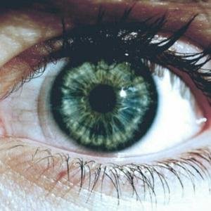 Los ojos que nos matan a todos solo con verlos unos segundos | wikiojazos@gmail.com