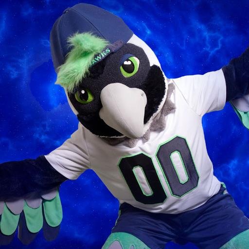 Official Seattle Seahawks sidekick to @BlitzTheSeahawk.