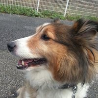 ひーくん🐟️ (@hidekazu119) 's Twitter Profile Photo