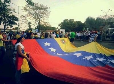 Ing. Quimico