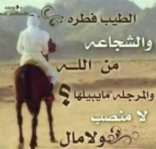 aassqqwwss592's profile picture. سبحان الله وبحمده سبحان الله العضيم